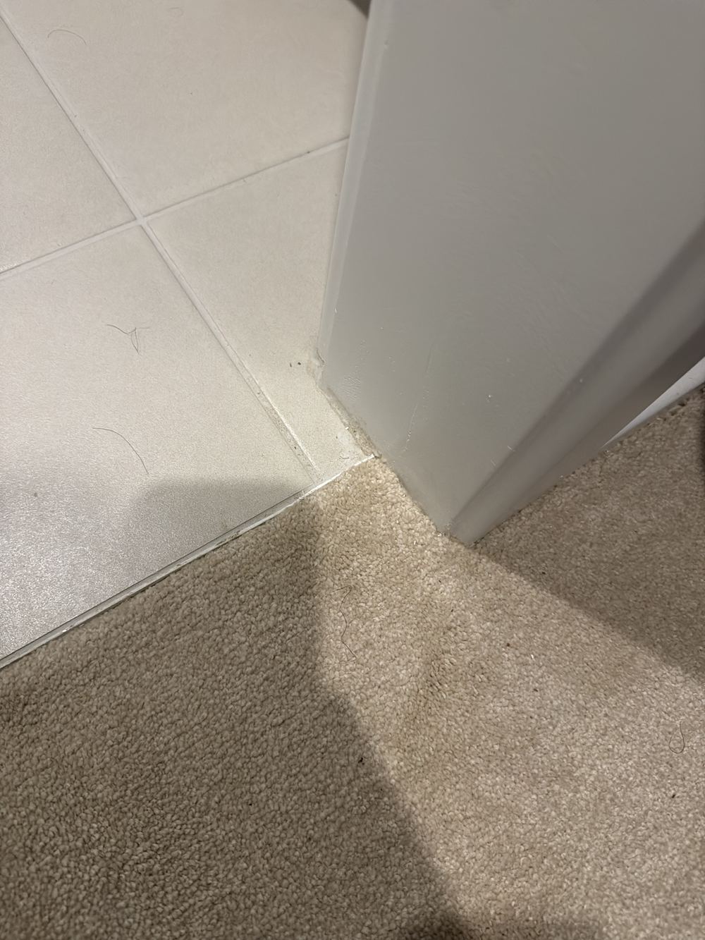 Threshold water stop not tied into the perimeter flashing, architraves bedded in tile, found during a pre-handover inspection in Officer