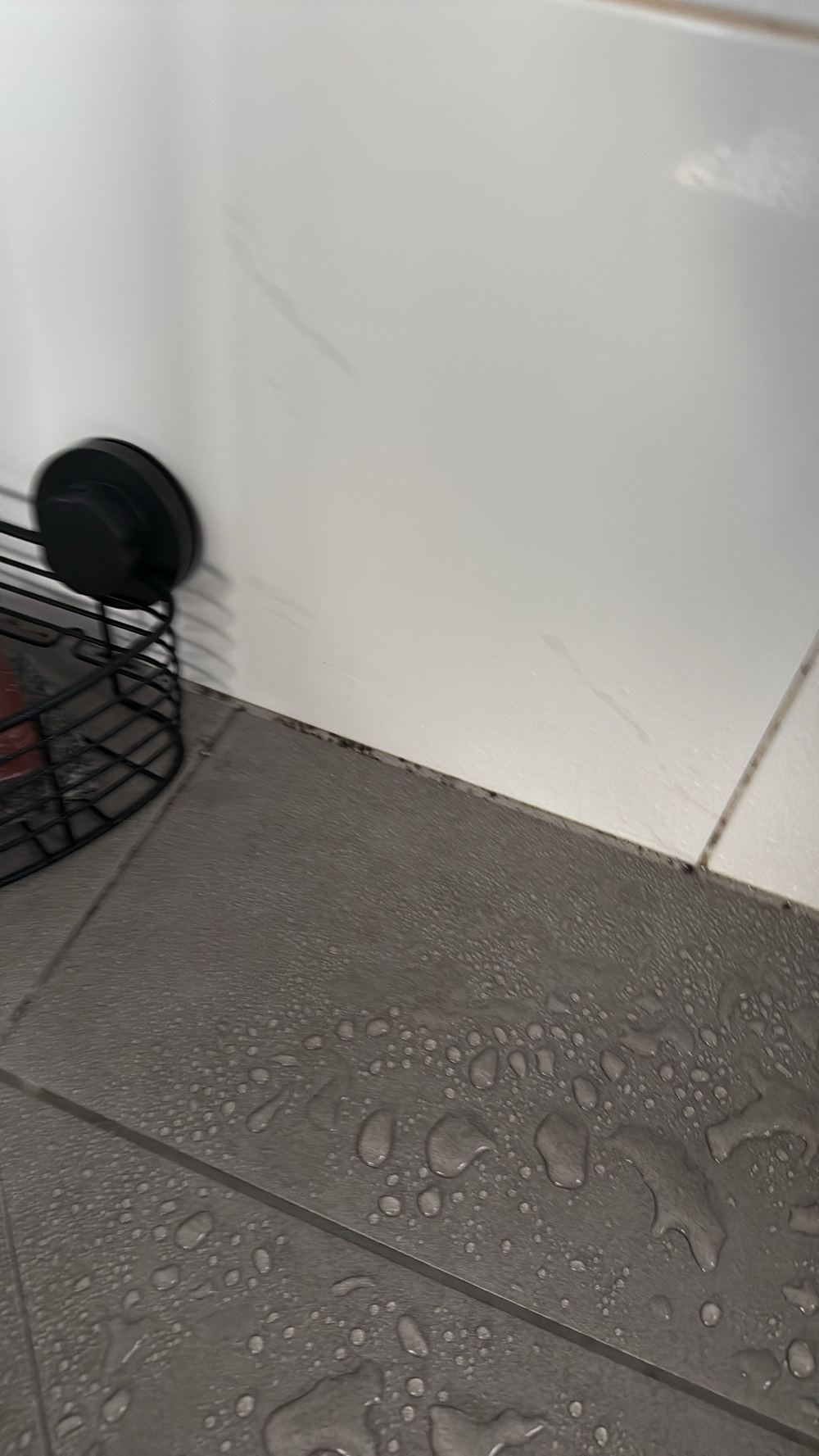 Mould-stained sealant along a wet area junction, found during a pre-purchase inspection in Officer